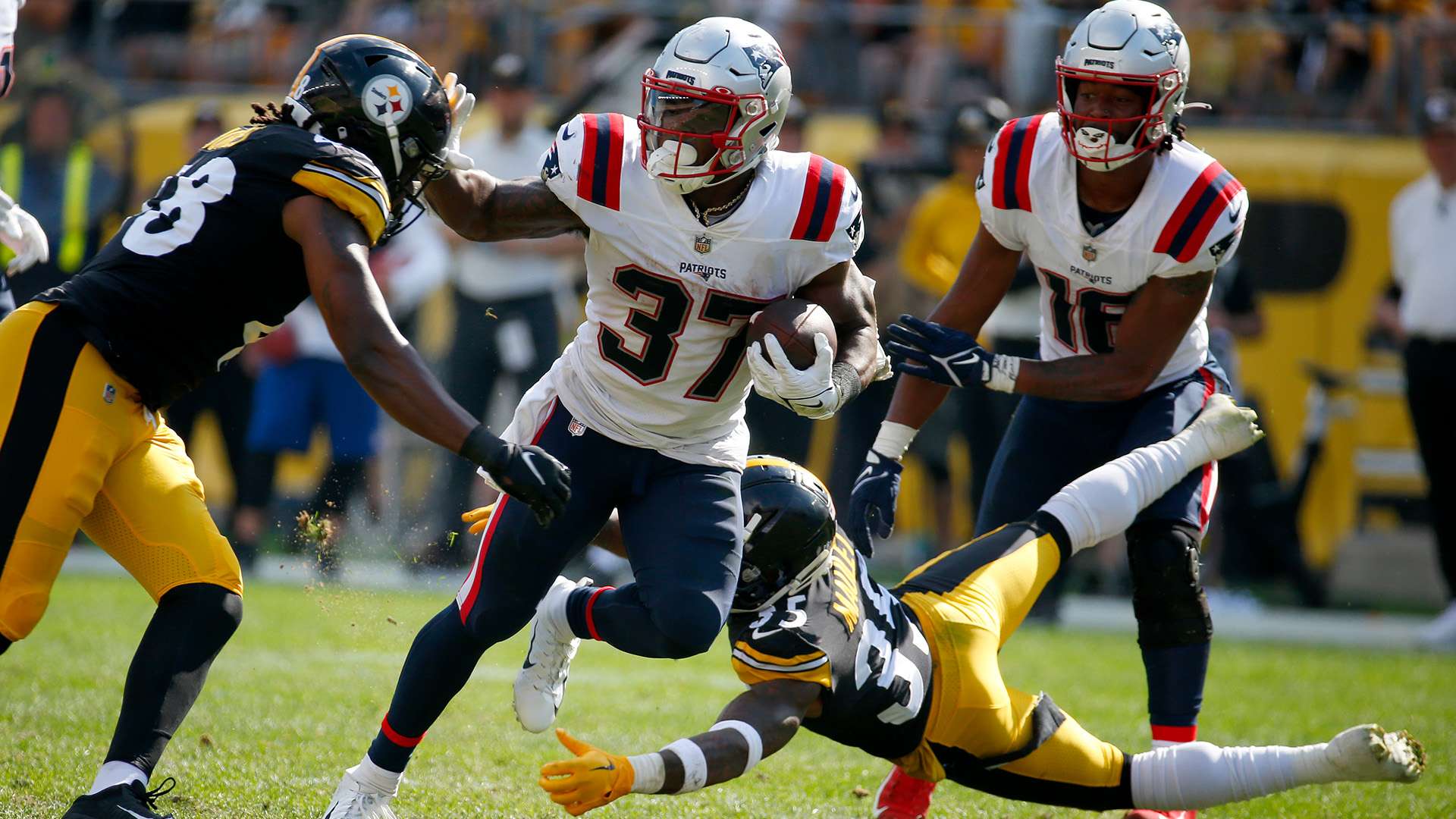 成功不仅属 成功不仅属